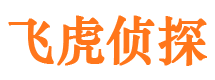 邕宁市调查公司